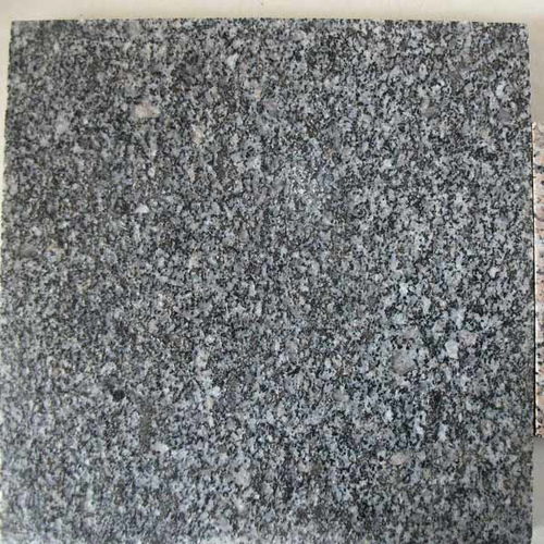 河北芝麻灰廣場磚 中興石材銷售批發(fā) 芝麻灰廣場磚廠家電話